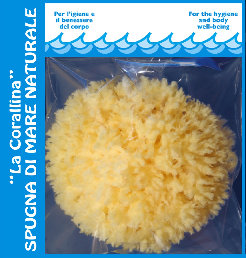 Natural Yellow Sea Sponge